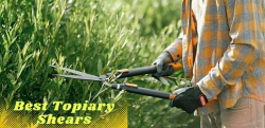 10 Best Topiary Shears To Maintain Your Green Creations