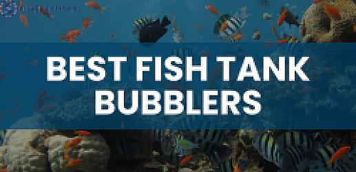 Best Fish Tank Bubblers