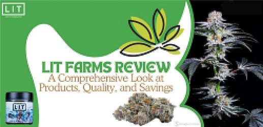 LIT Farms Review: Are Their Strains Worth It?