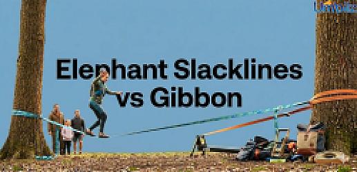 elephant slacklines vs gibbon: Why Gibbon Is the Better Choice