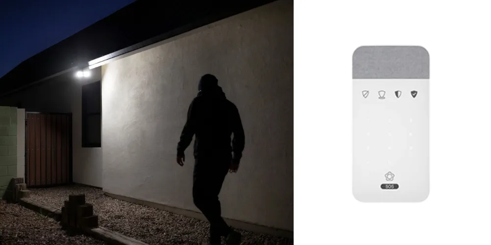 Burglar Alarms