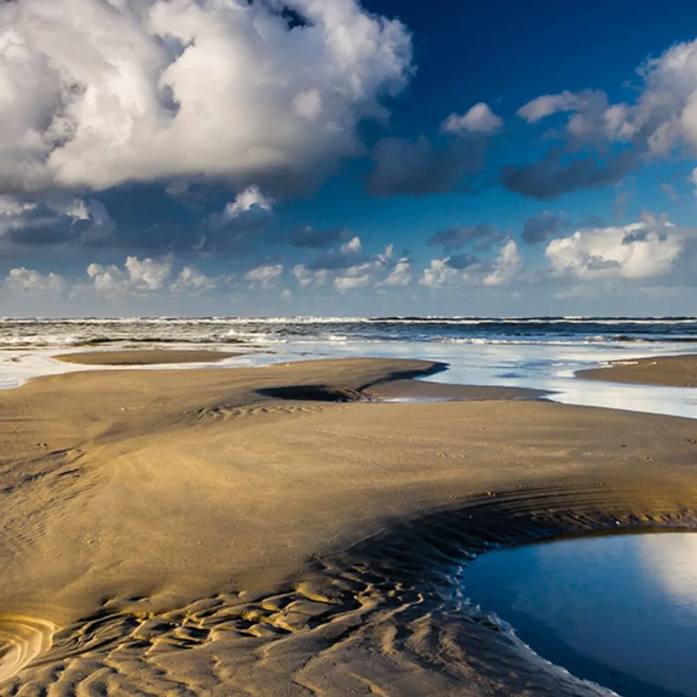 Die Nordseek&uuml;ste & Nationalpark Wattenmeer