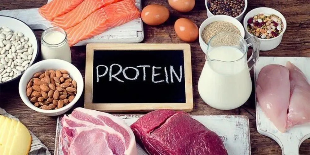 Flex Your Protein Choices