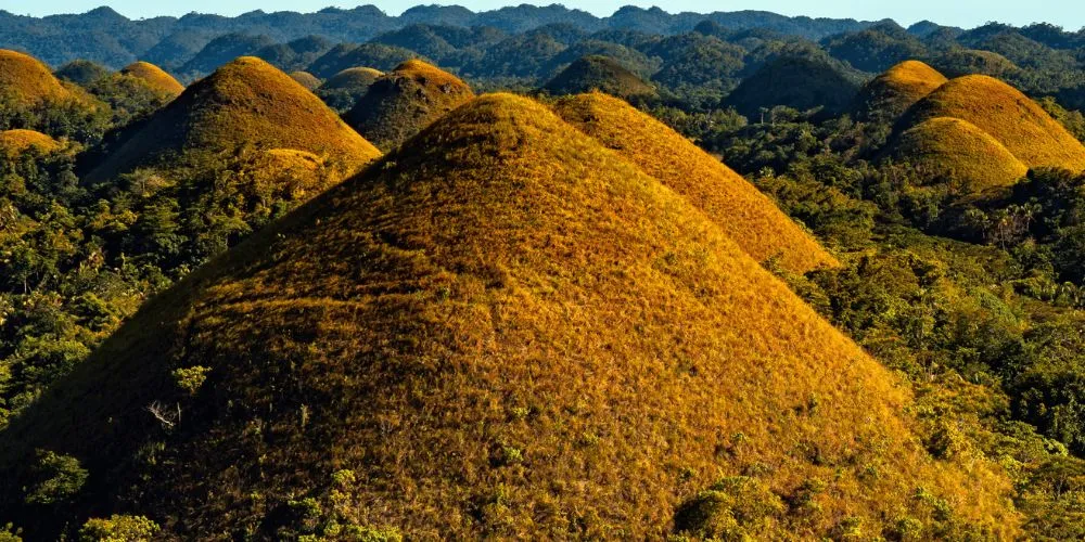Chocolate Hills