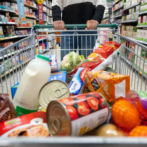 Shop at Discount Grocery Stores Shop at Discount Grocery Stores