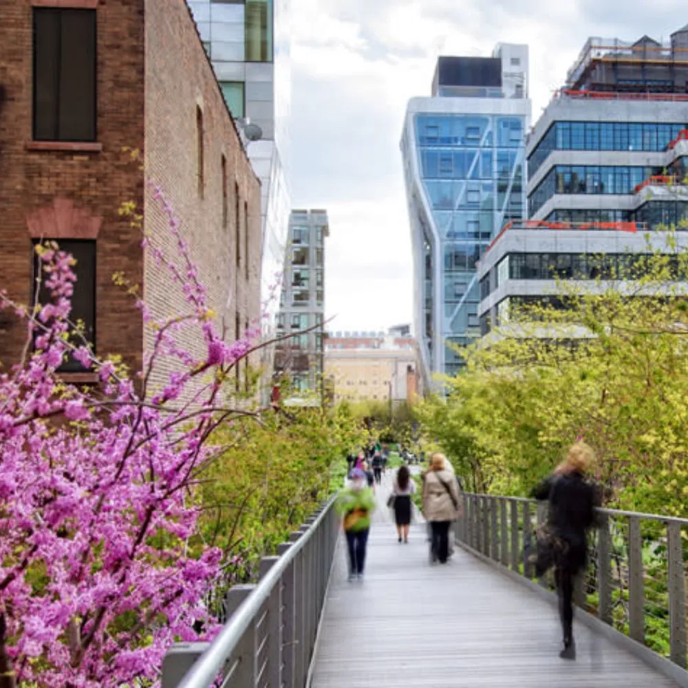 High Line Park