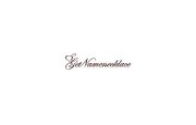 Getnamenecklace logo
