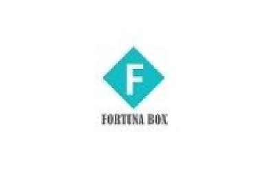 File Storage Boxes