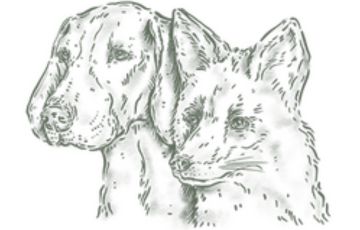 Fox & Hounds logo