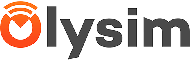 Onlysim logo