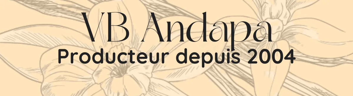 Vb Andapa logo