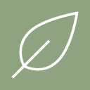 CBD Vital logo