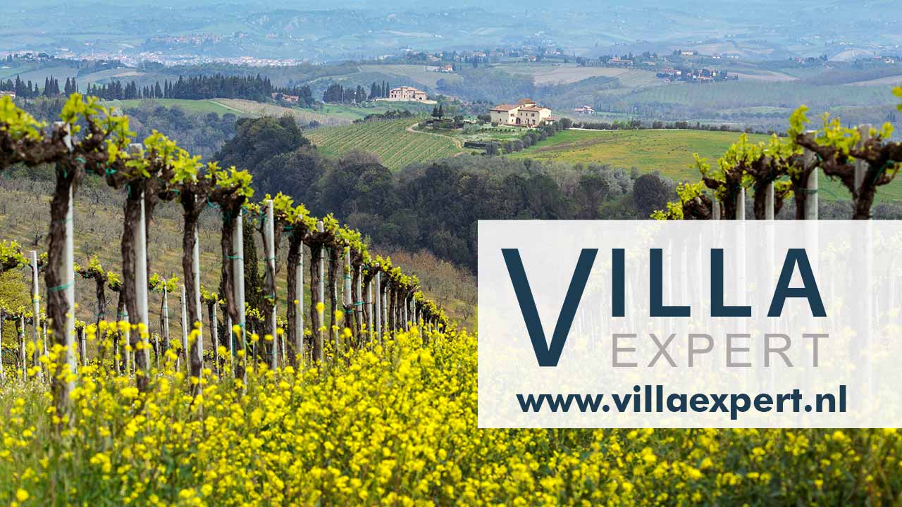 Villaexpert logo