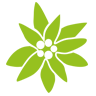 Trachten & Dirndl logo