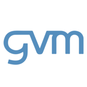 Gvm Online logo