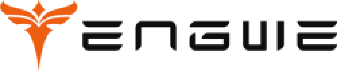 Engwe USA logo
