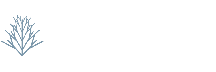 Araucaria Jet logo