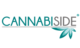 CannabiSide logo