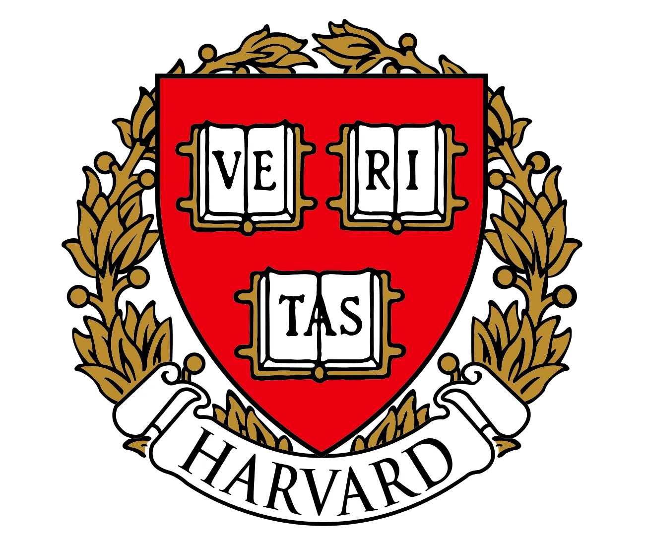 Knowt logo