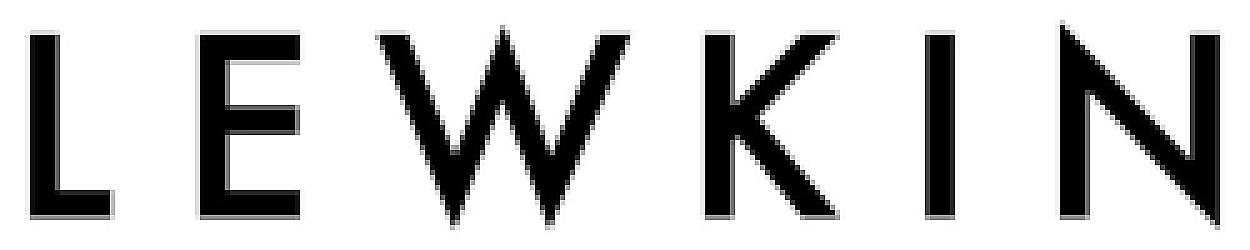 Lewkin logo