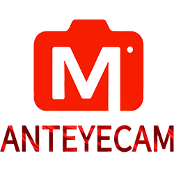 AntEyeCam logo