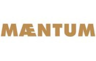 Maentum logo