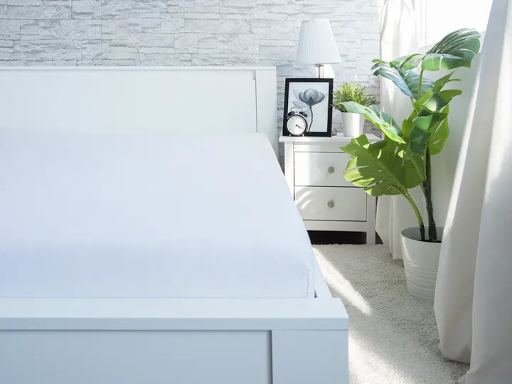 Orbit Home Cotton Jersey Fitted Bed Sheet